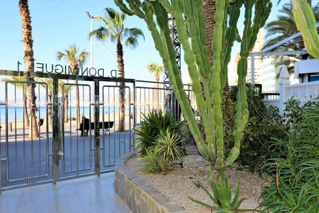 Luxurious 2-Bedroom Apt With Stunning Views, 1St Line On Levante Beach, Benidorm Exterior photo